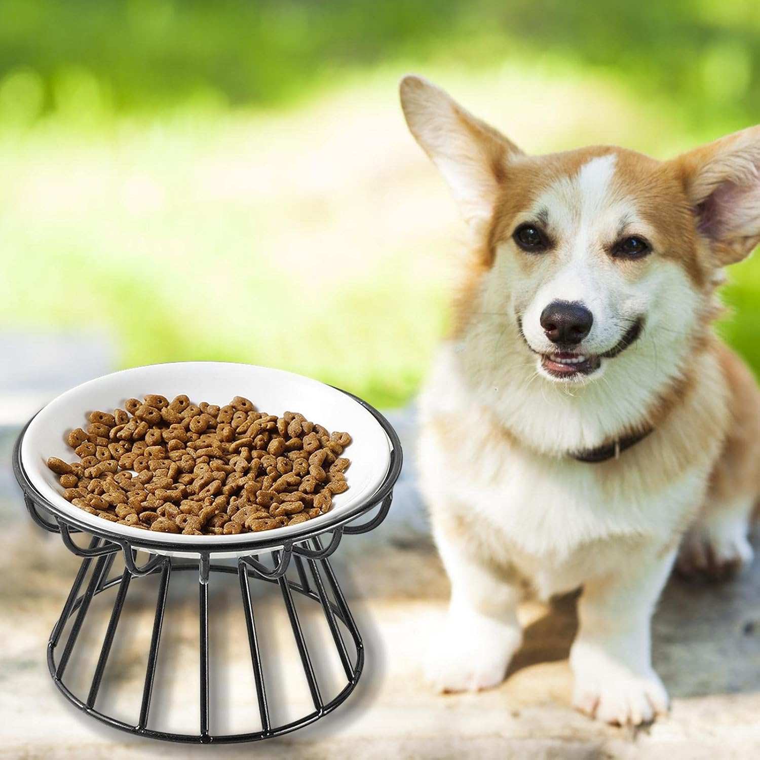 Elevated Cat Food Bowl - Ceramic Whisker Friendly Ceramic Elevated Pet Foods Bowls, Cat Bowl with Metal Stand | Kitten Dish Pet Food and Water Feeding Station for Indoor Kitty Small Dog image number 6