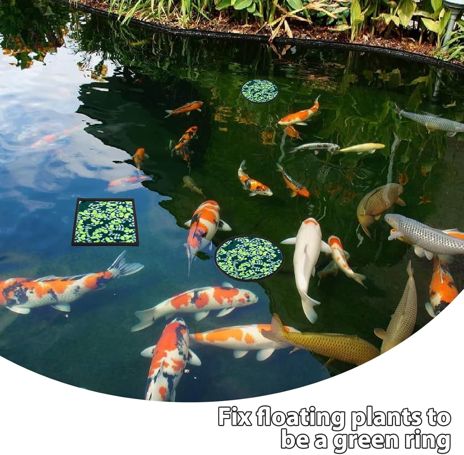 10 PCS Fish Feeding Rings, Aquarium Floating Plant Corral round & Square Aquarium Plant Holder Fish Toys Turtle Betta Fish Tank Accessories Reduces Automatic Fish Feeder Waste, Maintains Water Quality image number 6