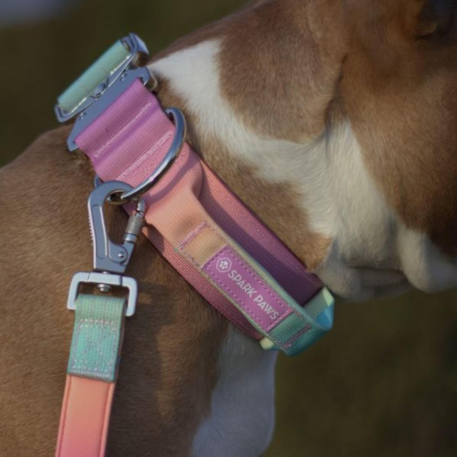 Spark Paws Tactical Dog Collar - Robust, Premium Quality, Thick and Durable for Large and Medium Dogs - Pastel Icing - L, 5 Cm image number 5