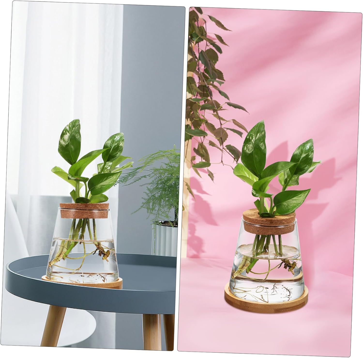 Gogogmee 2Pcs Hydroponic Propagation Station Glass Bottles with Wooden Cork and Bamboo Stand 330Ml for Indoor Plant Growing and Terrarium Gardening image number 3