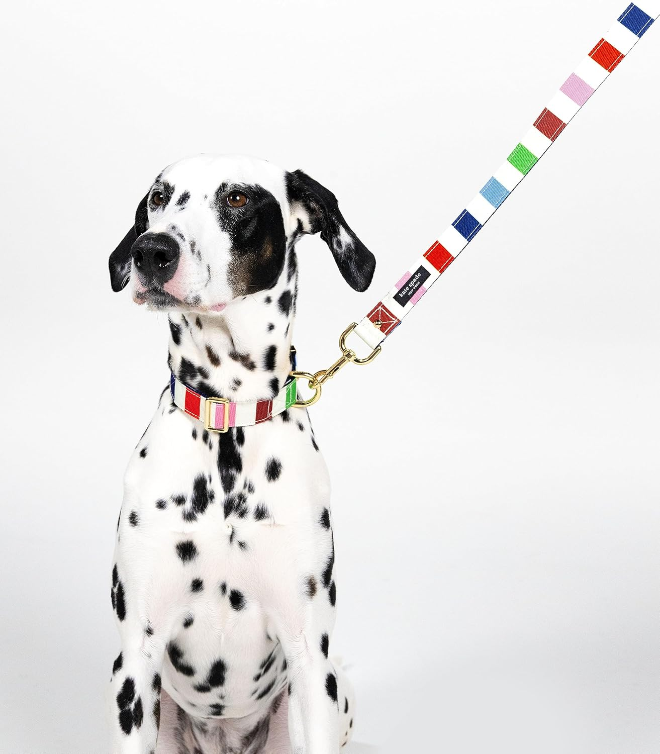 Kate Spade New York Cute Dog Collar, Gold Metal Buckle Dog Collar, 15.5" to 24" Adjustable Dog Collar for Female or Male Dogs, Stylish Dog Collar for Medium and Large Breeds (Adventure Stripe) image number 3