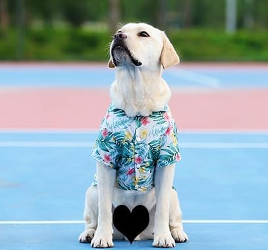 Dog Hawaii Shirts Stylish Hawaiian Themed Pet and Owner Matching Apparel Owner and Pet Shirts Are Sold Separately (Green, S) image number 1