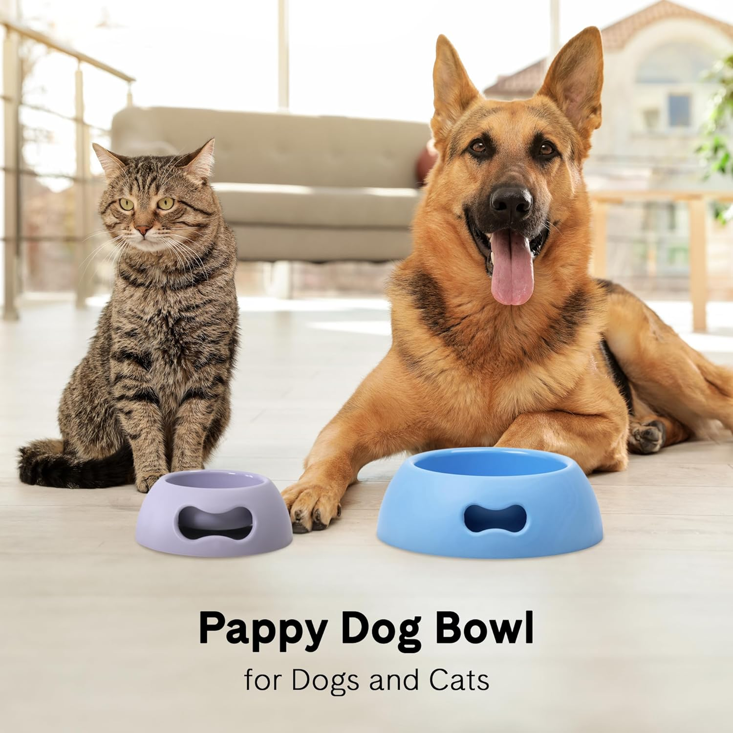 United Pets Pappy Dog Food and Water Bowl Powder Blue Small image number 2