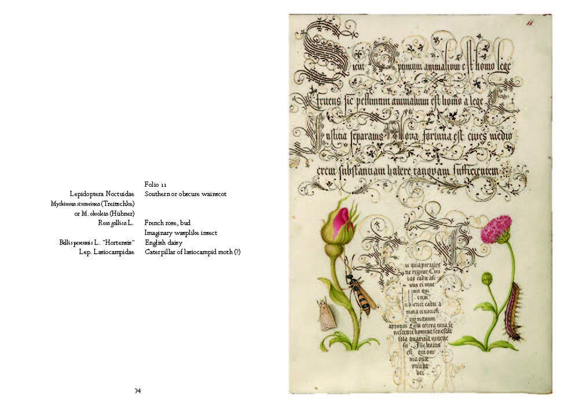 Mira Calligraphiae Monumenta: a Sixteenth-Century Calligraphic Manuscript Inscribed by Georg Bocskay and Illuminated by Joris Hoefnagel image number 1