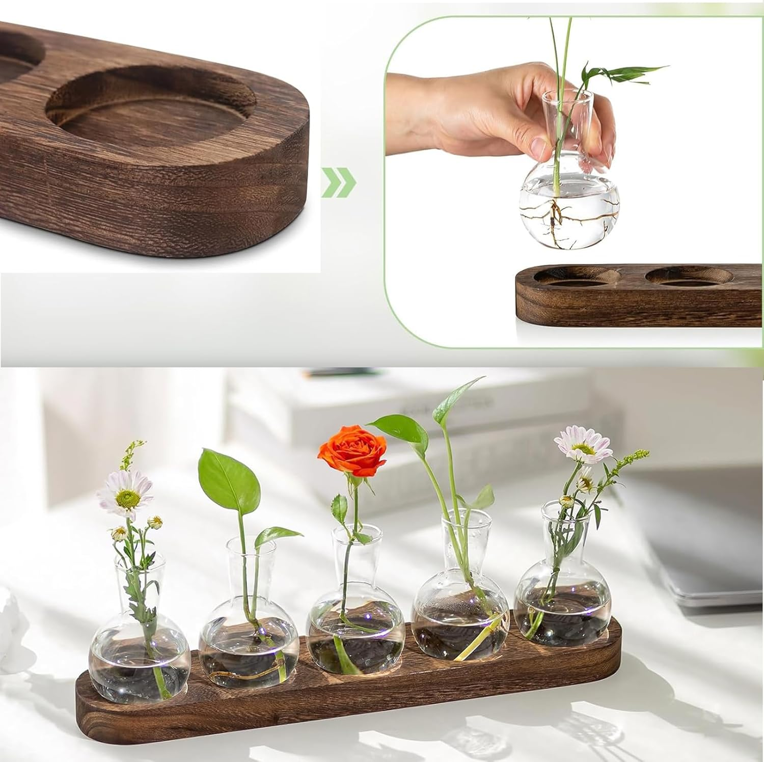 FUNNTY Desktop Plant Propagation,With Wooden Stand Glass Vase Hydroponic Planter Gifts Plant Terrarium for Plant Lovers Indoor Home Garden Office Decoration (5 Glass Vase &1 Tray Display) image number 3