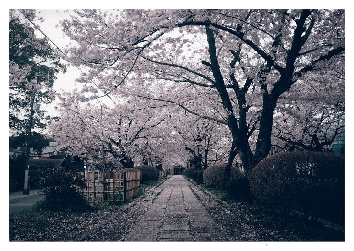 In Kyoto image number 1