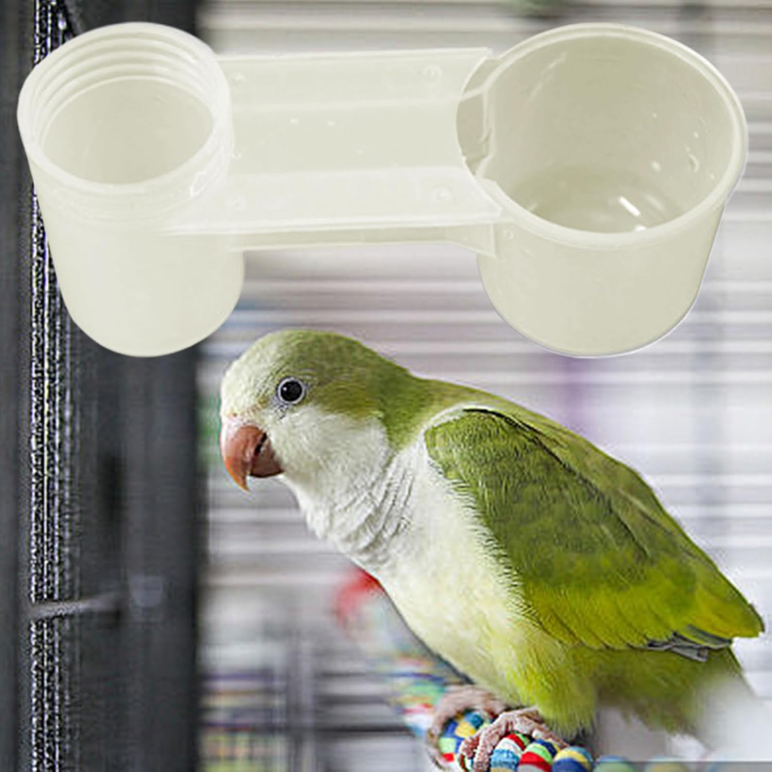 Bird Water Dispenser | Water Bottle Bird Drinker for Cage - Splash-Proof Transparent Dispenser Double-Port Design for Pigeons Chickadees Parakeet Finches Chicken Home Garden