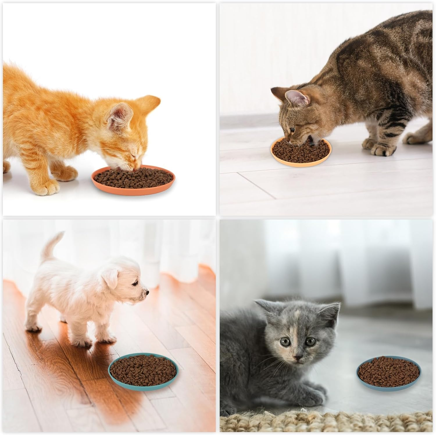 Pack of 12 Flat Feeding Bowls, Cat Food Bowls, Cat Feeding Bowls for Cat Food Bowl, Flat Cat Bowl, Cat Bowls, Cat Plates, Drinking Bowl, for Dry Wet Food image number 6