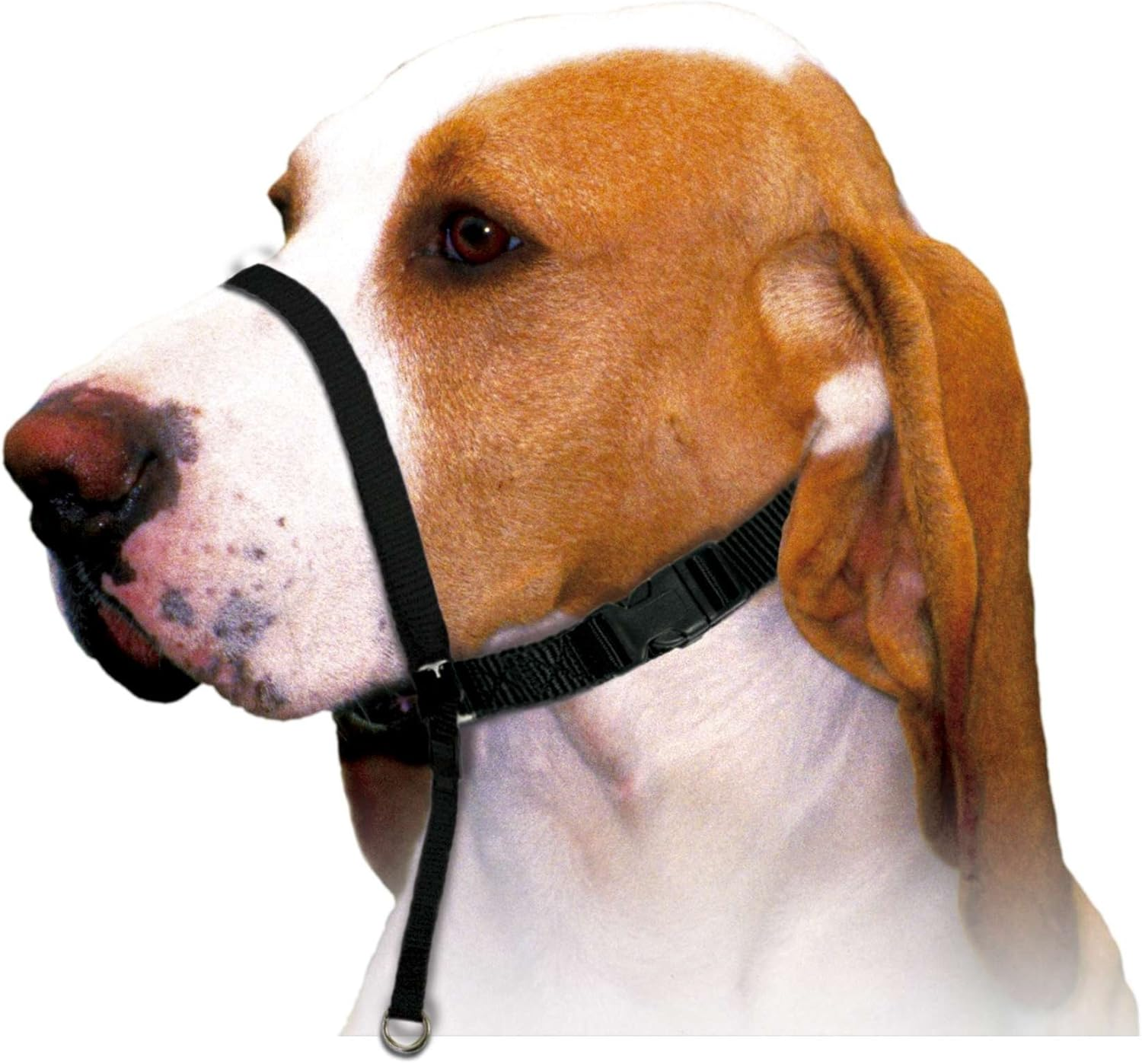 Xt-Dog DB922 Training Nylon Muzzle