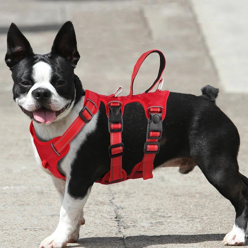 Outdoor Waterproof Reflective Dog Harness Nylon Dog Harness Vest Pet Camping Hunting Training Harness for Pitbull Labrador French Bulldog,B,L image number 2