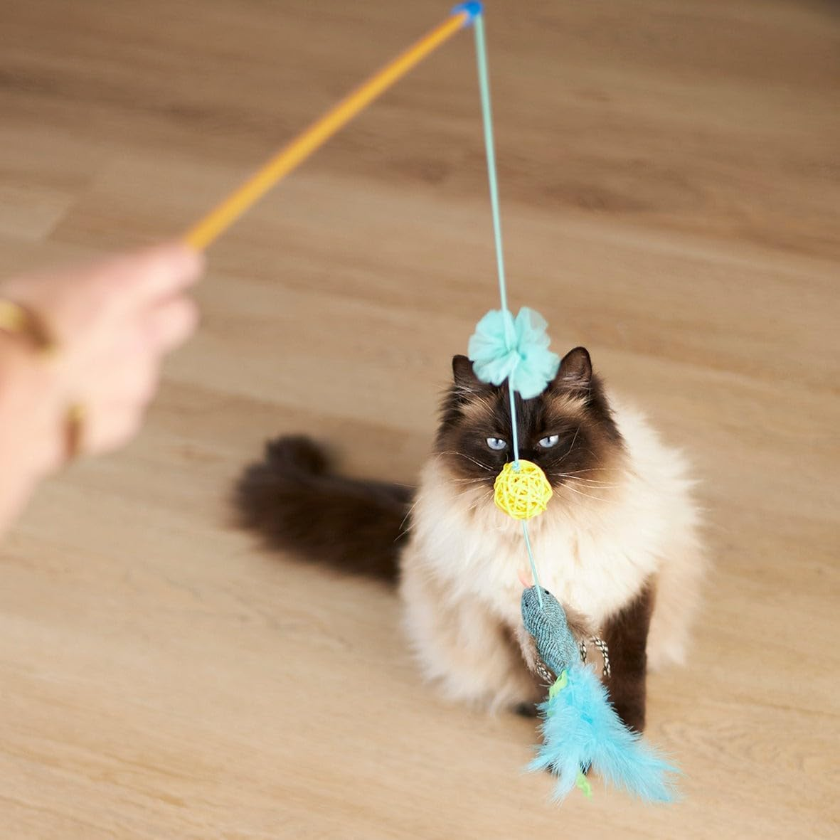 Kazoo Bluebird Wand Cat Toy image number 5