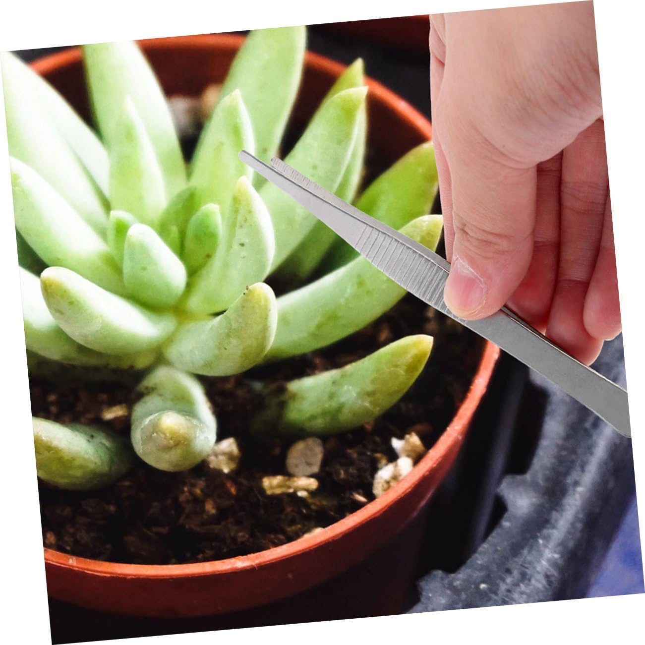 BESPORTBLE 10Pcs Gardening Tweezer Set Serrated Tip 18Cm Long Plant Tweezers for Bonsai Craft and Garden Use Portable Household Garden Tool image number 3