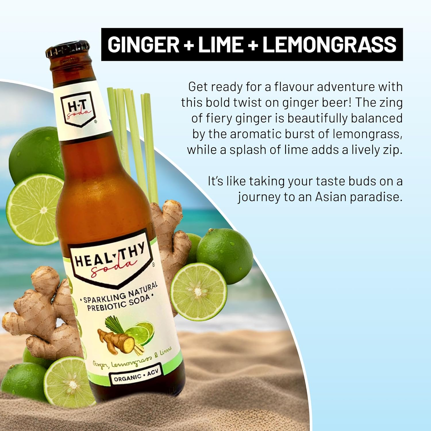 Heal Thy Soda, Ginger Lemongrass & Lime, 12X200Ml &ndash; Naturally Flavoured Sparkling Soda, Zero Sugar, Low Calorie, Infused with Real Fruit & Apple Cider Vinegar Mother, No Artificial Flavours