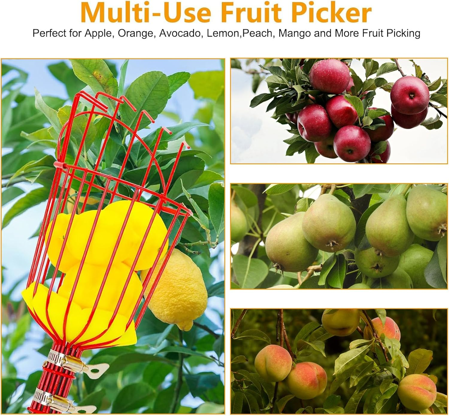 Fruit Picker Tool, 2.4M 8Ft Height Adjustable Fruit Picker Pole Tool with Baskets, Light-Weight Stainless Steel Fruit Picking Equipment for Apples Oranges Tangerines Pears Mangoes Avocados image number 5
