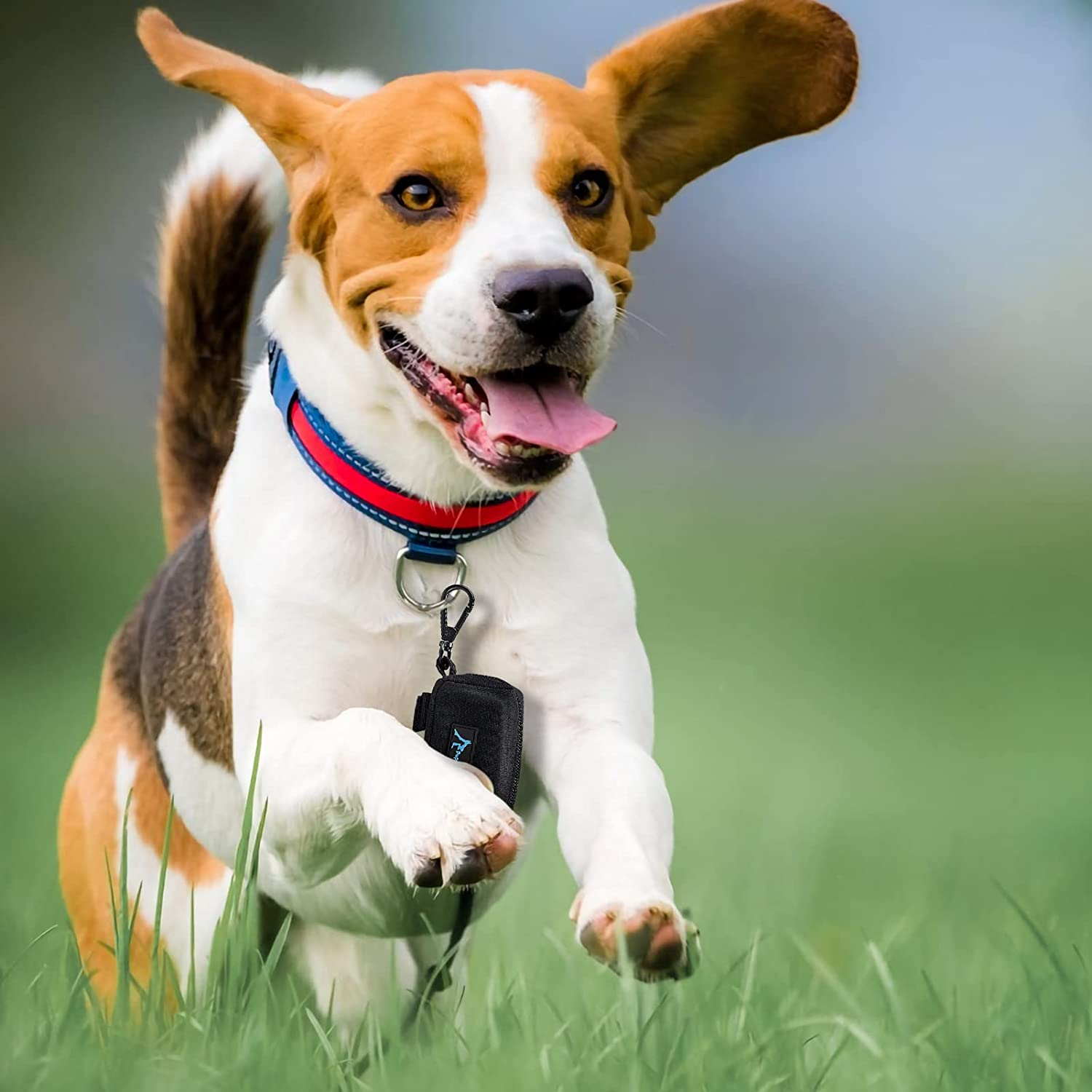 Puppydoggy Dog Poop Bag Holder for Leash Black Waste Bag Dispenser with 1 Roll of Free Poop Bags for Leash Accessory Bicycle (Black, 1 Pack)