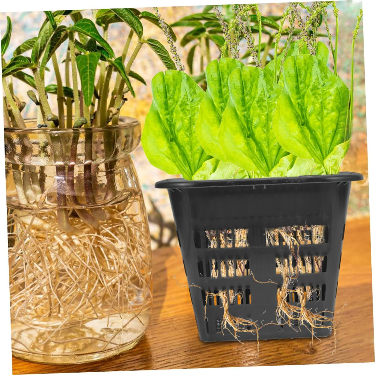 PAMINGONO 10Pcs Hydroponic Grow Supplies Net Pots for Plant Propagation Garden Pots Planting Baskets image number 1