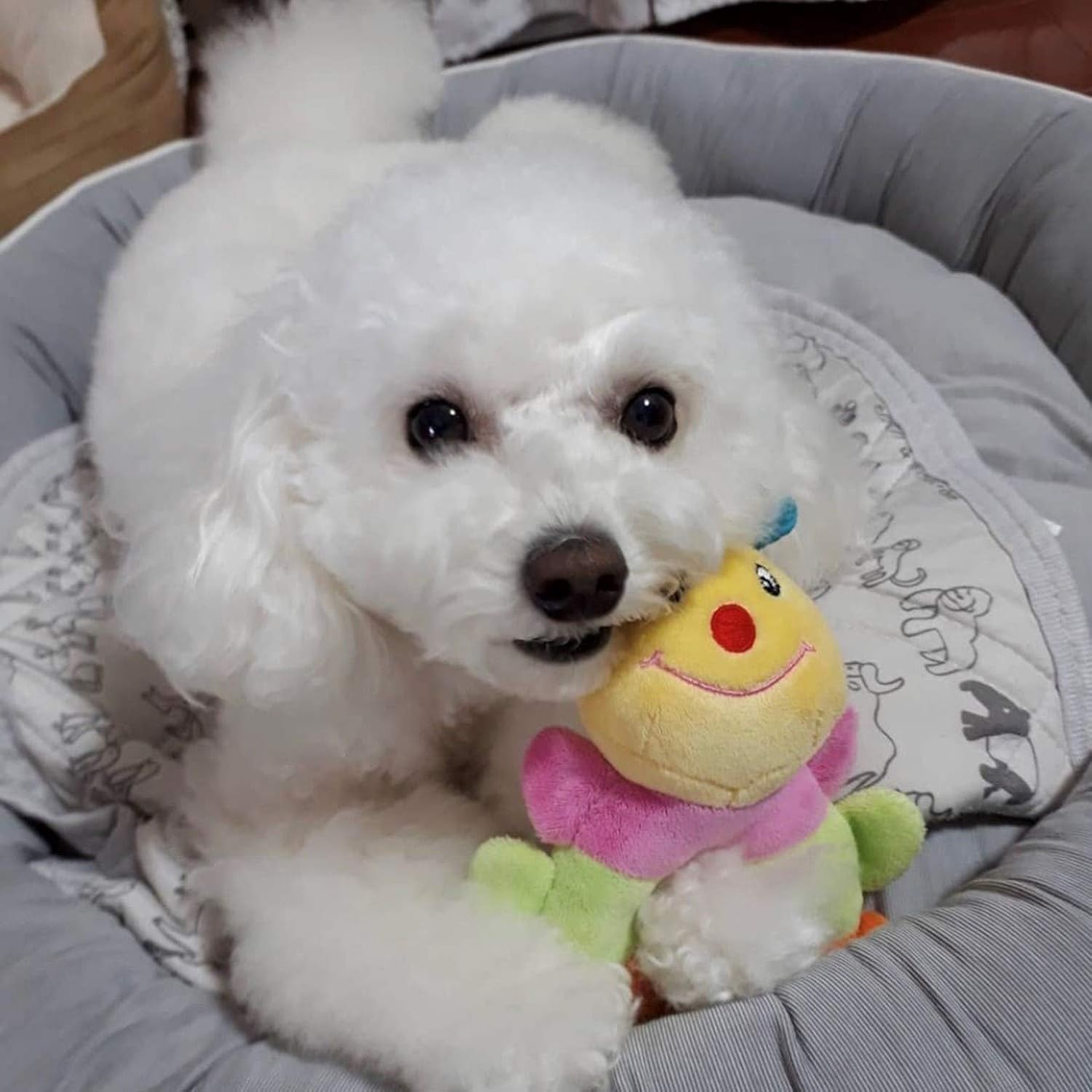 [PLATZ PET SUPPLIES & FUN] Dog Toy, Caterpie Baby Ring image number 3