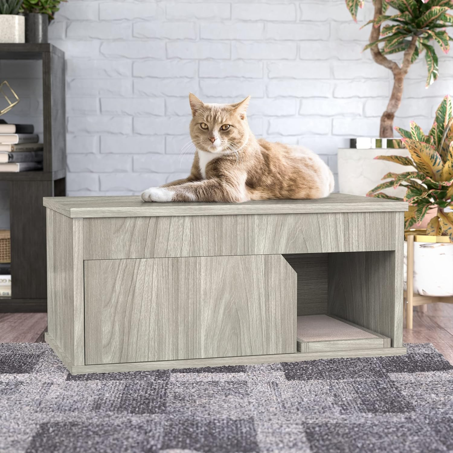 WAY BASICS Cat Litter Box Enclosure Hidden Cat Furniture, Aspen Grey image number 5