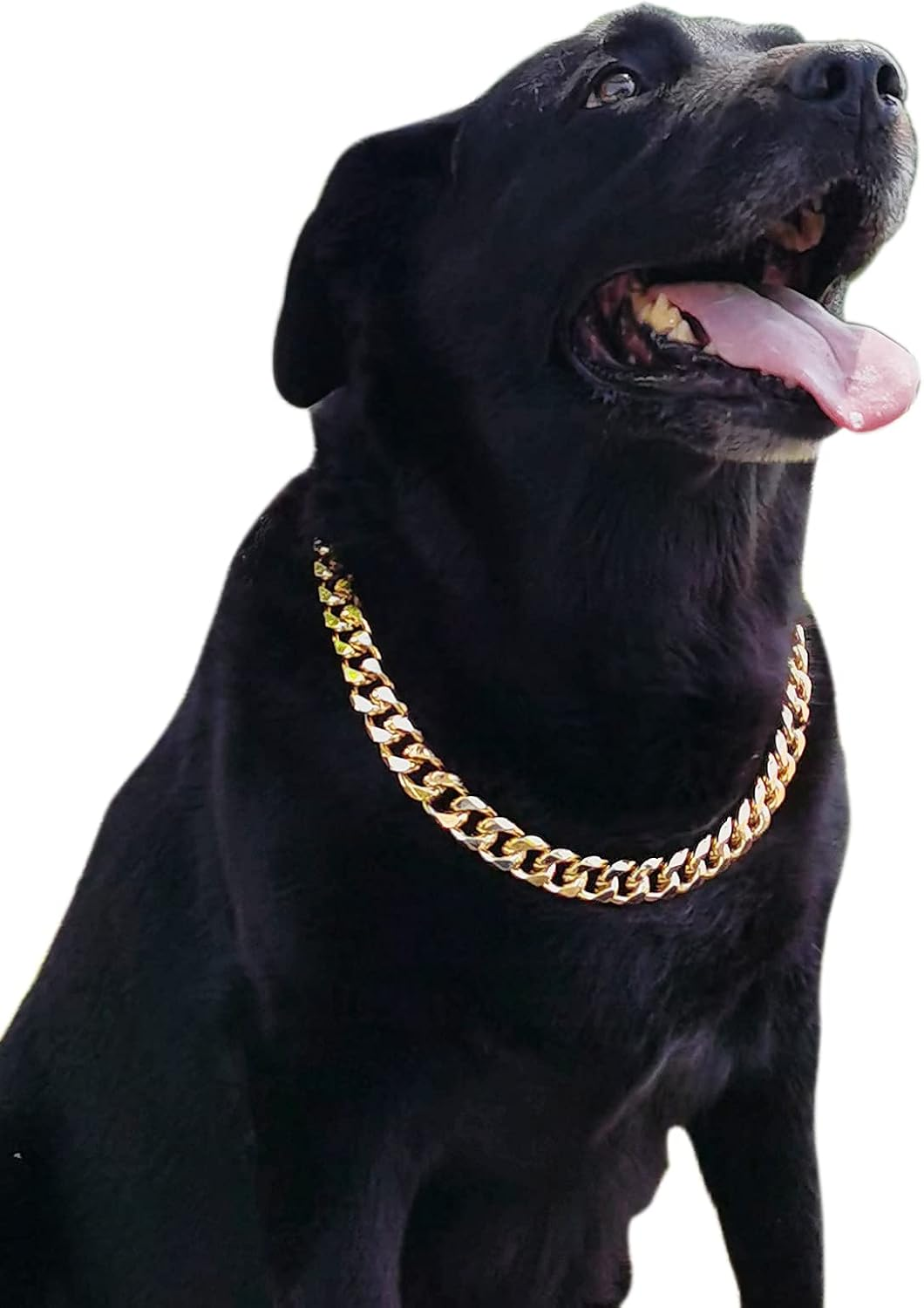 Gold Chain Dog Collar-3/4 Width Cuban Link Dog Necklace, Cute Fashion Pet Collar for Pit Bulldog, Light Metal Jewelry Chain Puppy Accessories 20" image number 6