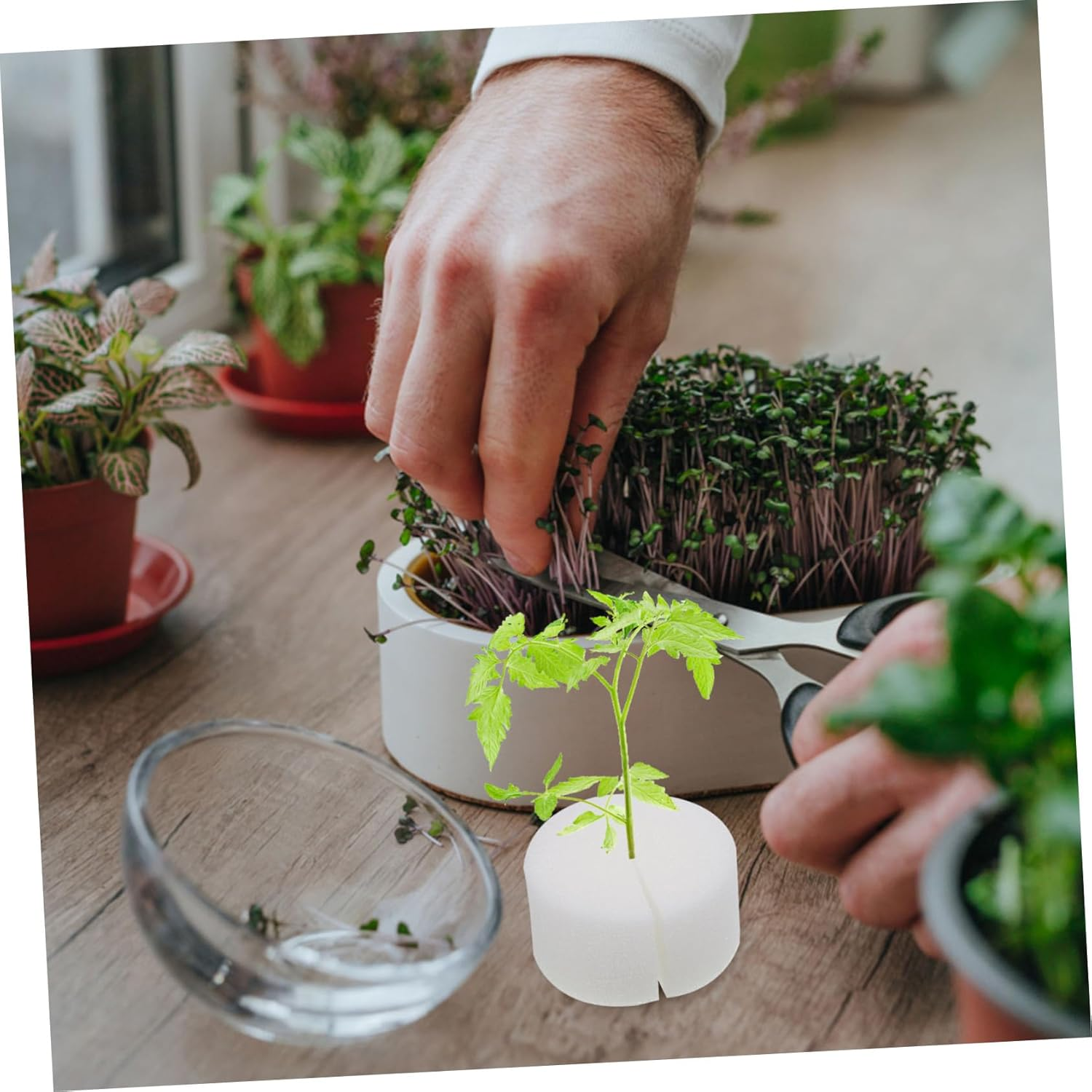 100Pcs Hydroponic Cotton Planting Sponge Soil-Block Hydroponic Planting Tool Sponges Blocks for Seed Germination Soilless Growing Vegetable