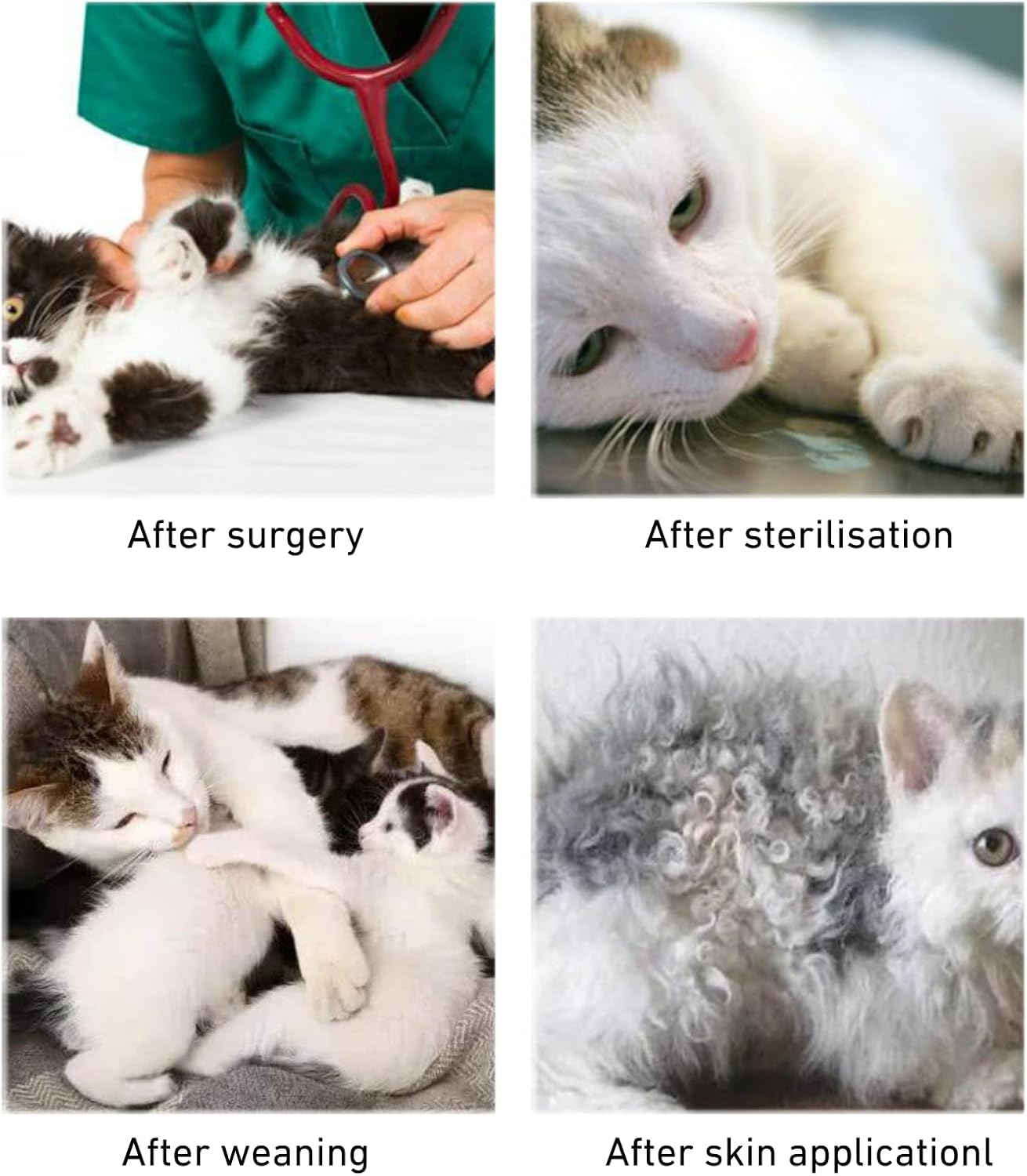 Verderoot Recovery Suit for Dogs or Cats, Elastic Fabric, Breathable Modal Cotton, Open Bottom Design, Extra Wide Abdomen, Pink, S