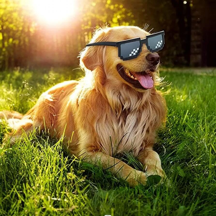 Thug Life Glasses, Pixel Funny Sunglasses for Party, Deal with It Fun Cool Glasses Bachelor Party Decor, Mosaic Gamer MLG Photo Props Glasses for Adults Teens (Tiny) image number 2