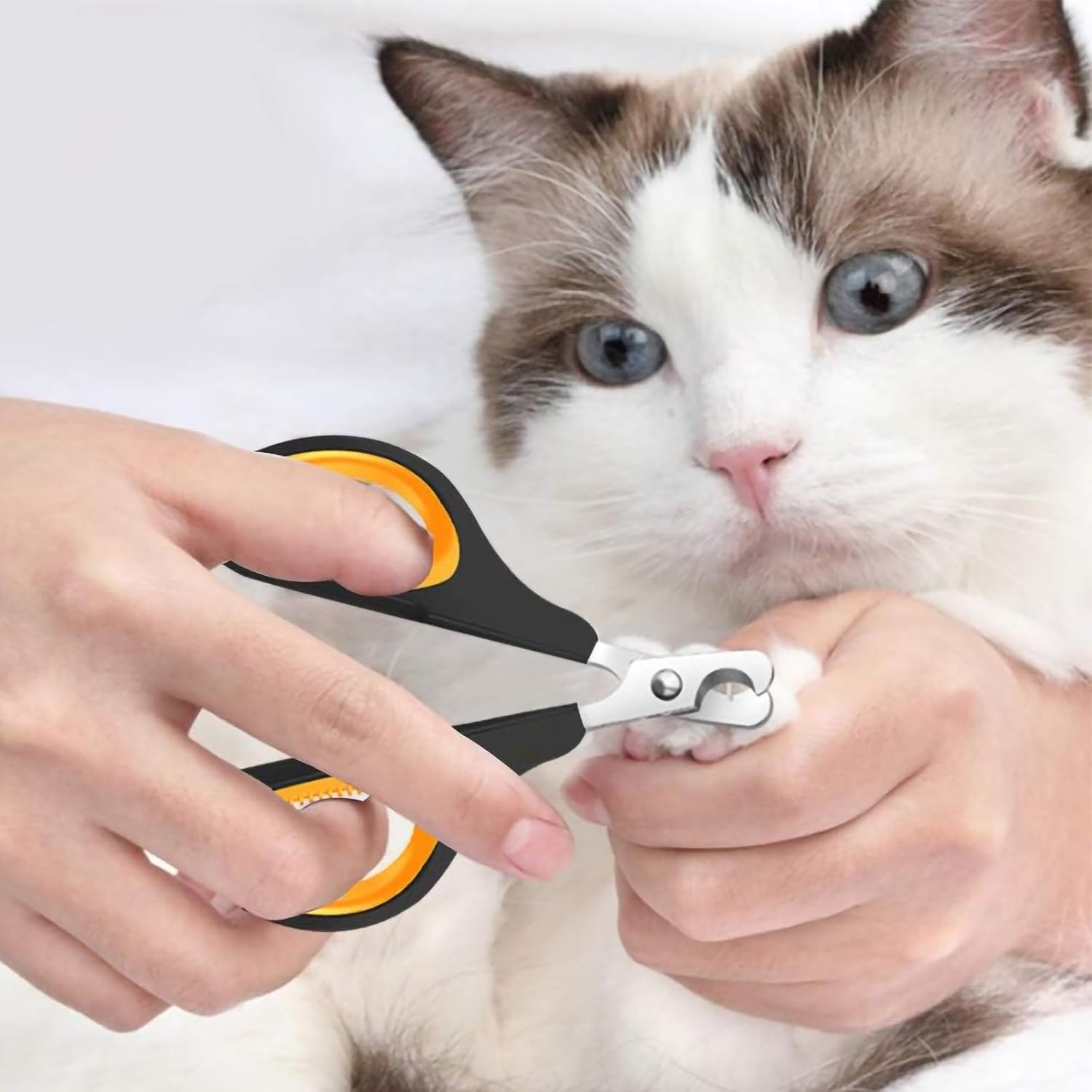 Luojinluoda Cat Nail Clippers, Cat Claw Clippers & Cat Nail Cutters - Safe Small Dog Nail Clippers, Pet Nail Clippers for Puppies, Kittens, Birds, Rabbits, Hamsters, Ferrets, Hedgehogs & Small Animals image number 5