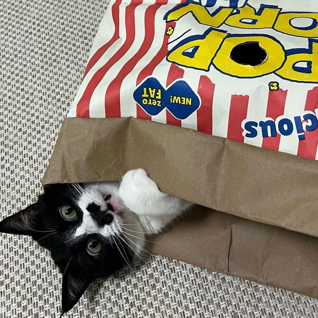 CLSSLVVBN Clean and Lovely Popcorn Paper Bag Cats Seek and Play Activities and Paper Bag Nest Specially Designed for Pets Pet Cat