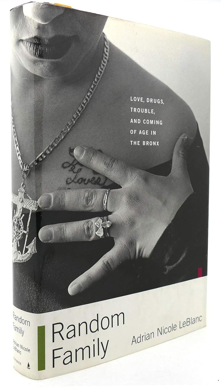 Random Family: Love, Drugs, Trouble, and Coming of Age in the Bronx image number 2