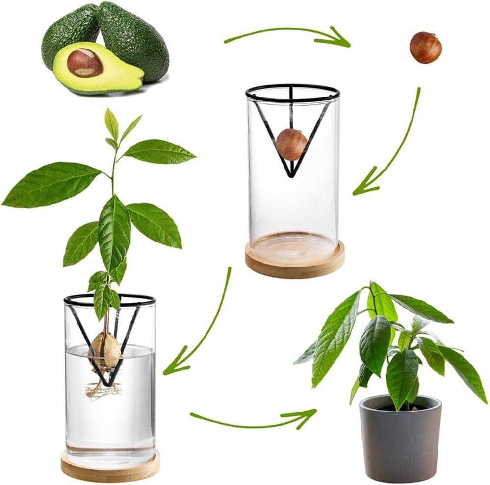 Avocado Tree Planter Pot, 2 Pack Avocados Tree Growing Kits, Avocados Growing Vase Wooden Base with Metal Triangle Bracket and Bamboo Base for Grow Avocado Seeds, Herbs and Small Trees image number 1
