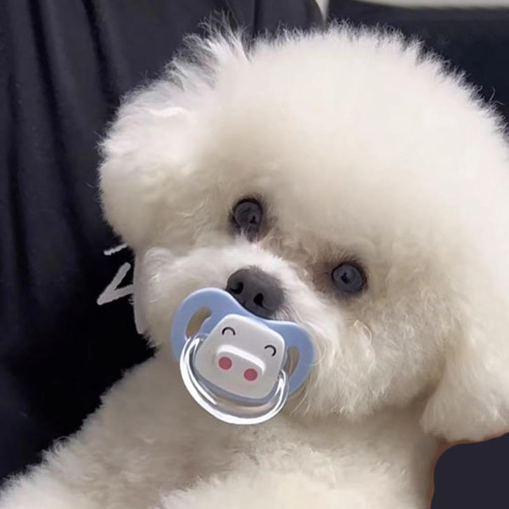 Pet Silicone Calming Pacifier, Dog Pacifiers for Small Dogs, Kitten Pacifiers, Puppy Teething Toys and Cat Chew Toys, Essential Pet Supplies, Puppy Essentials and Kitten Supplies (Blue Pig) image number 5