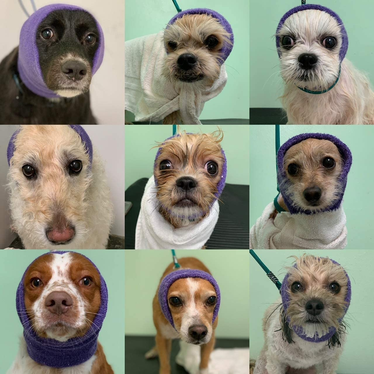 Happy Hoodie Black, Pack of 2 image number 3