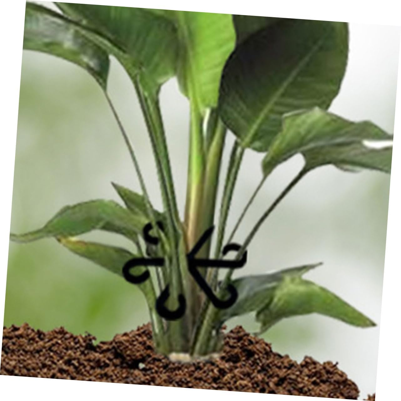 BESPORTBLE 16Pcs Flower Stems Fixed Holders for Bonsai and Plant Supports for Flowerpot Stems Holder Plant image number 2