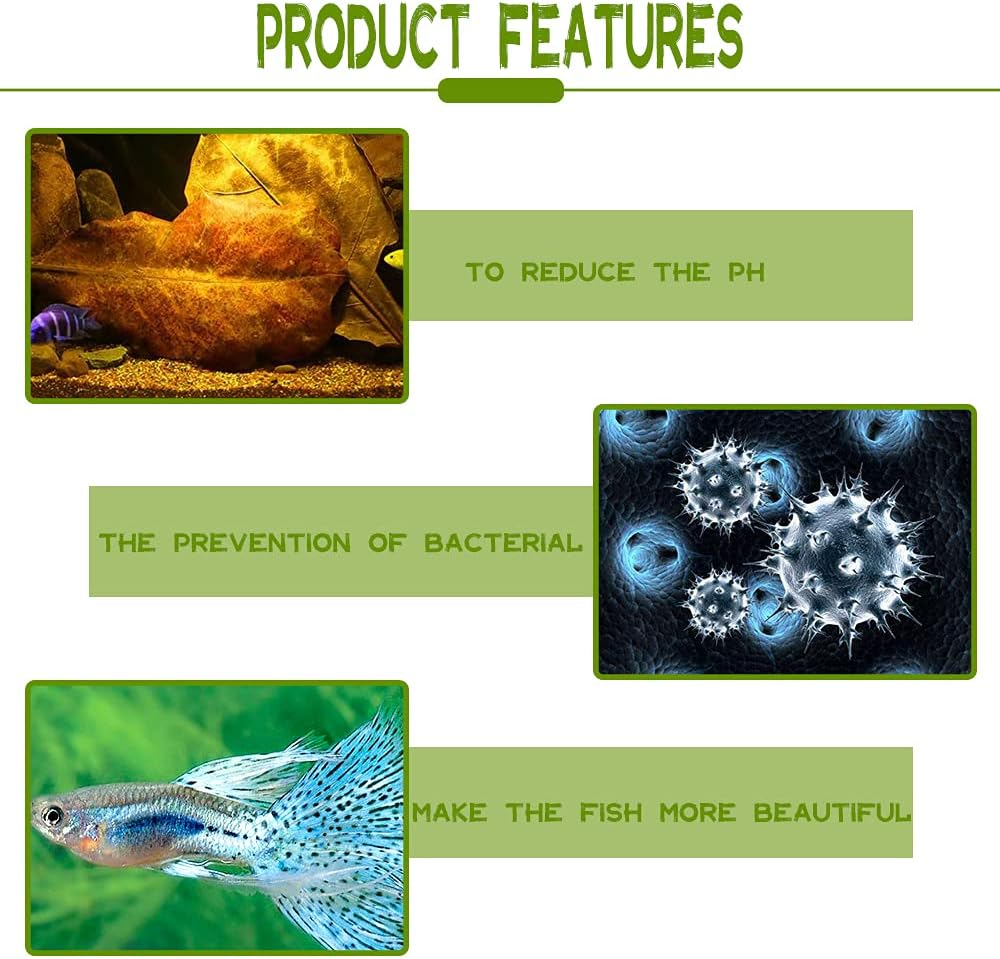 Leonbach 100 Pcs Large Catappa for Fish,5-8 Inch 250G Indian Almond Leaves Creates Native Environment,Catappa Leaves Beta Fish Leaf for Aquarium Shrimp Tank Decorations Water Conditioner image number 1