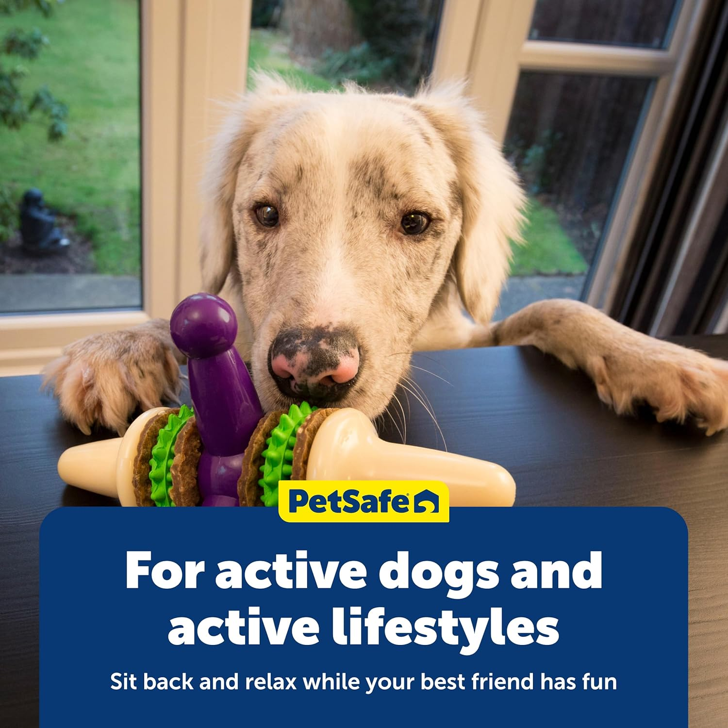 Petsafe Busy Buddy Jack Dog Toy image number 6