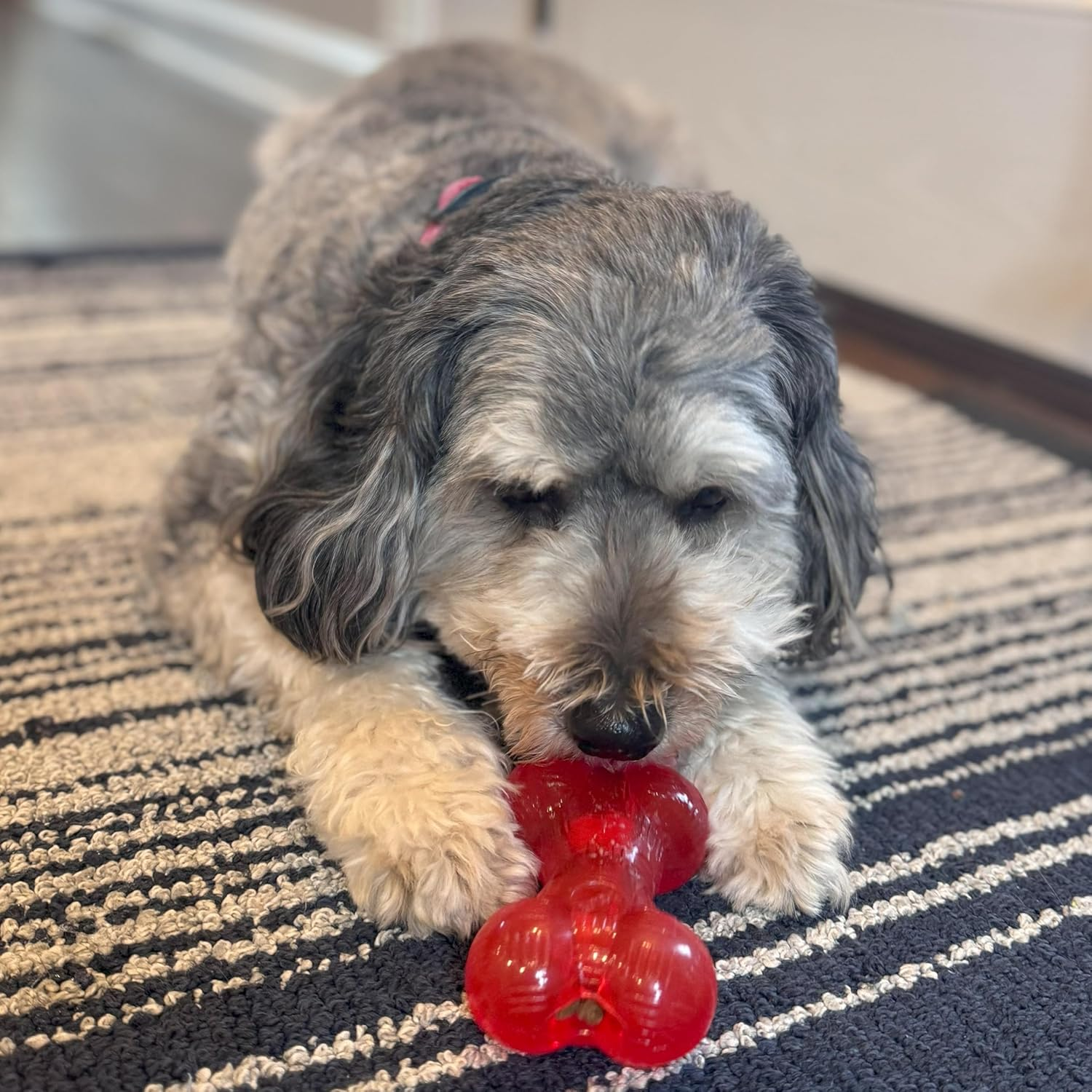 Ethical Pets Play Strong Virtually Indestructible Rubber Bone Dog Toy, 6.5-Inch image number 6