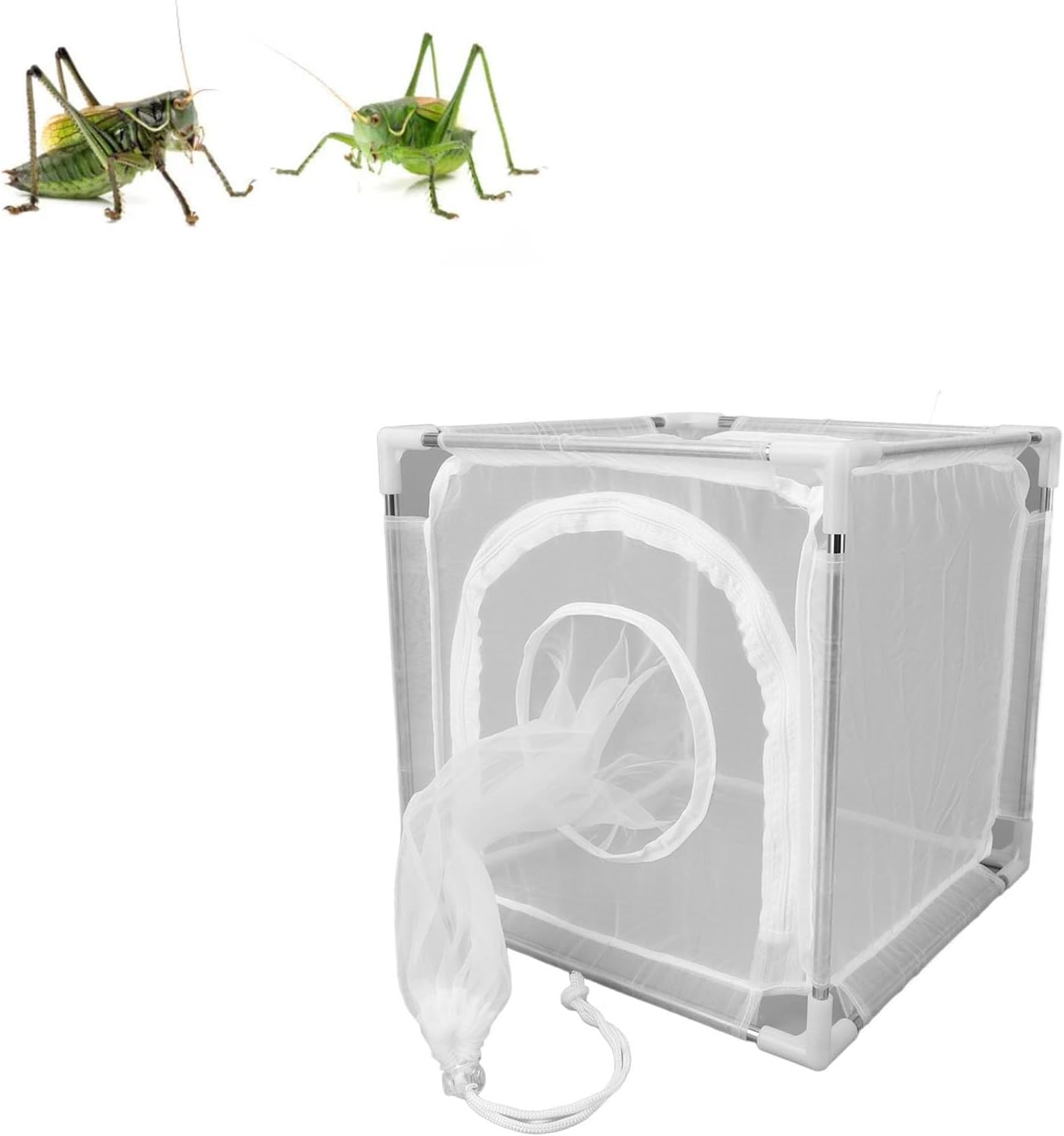 Premium Nylon Fly Mesh Cage, Sturdy Stainless Steel Structure, Ideal for Breeding Observation and Hatching Purposes, Suitable for Homes, Laboratories and Other Diverse Settings, image number 4