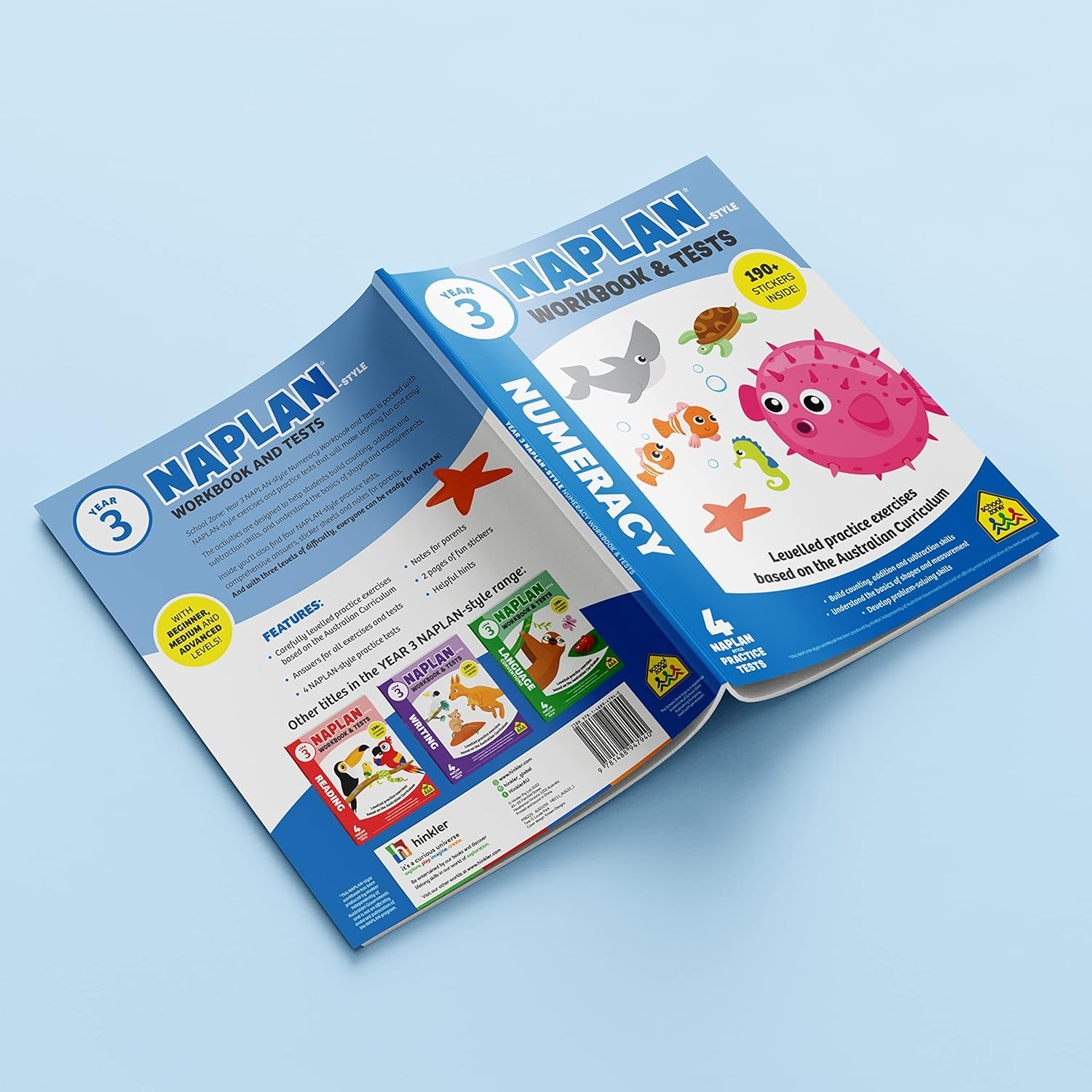 Year 3 Naplan*-Style Numeracy Workbook and Tests