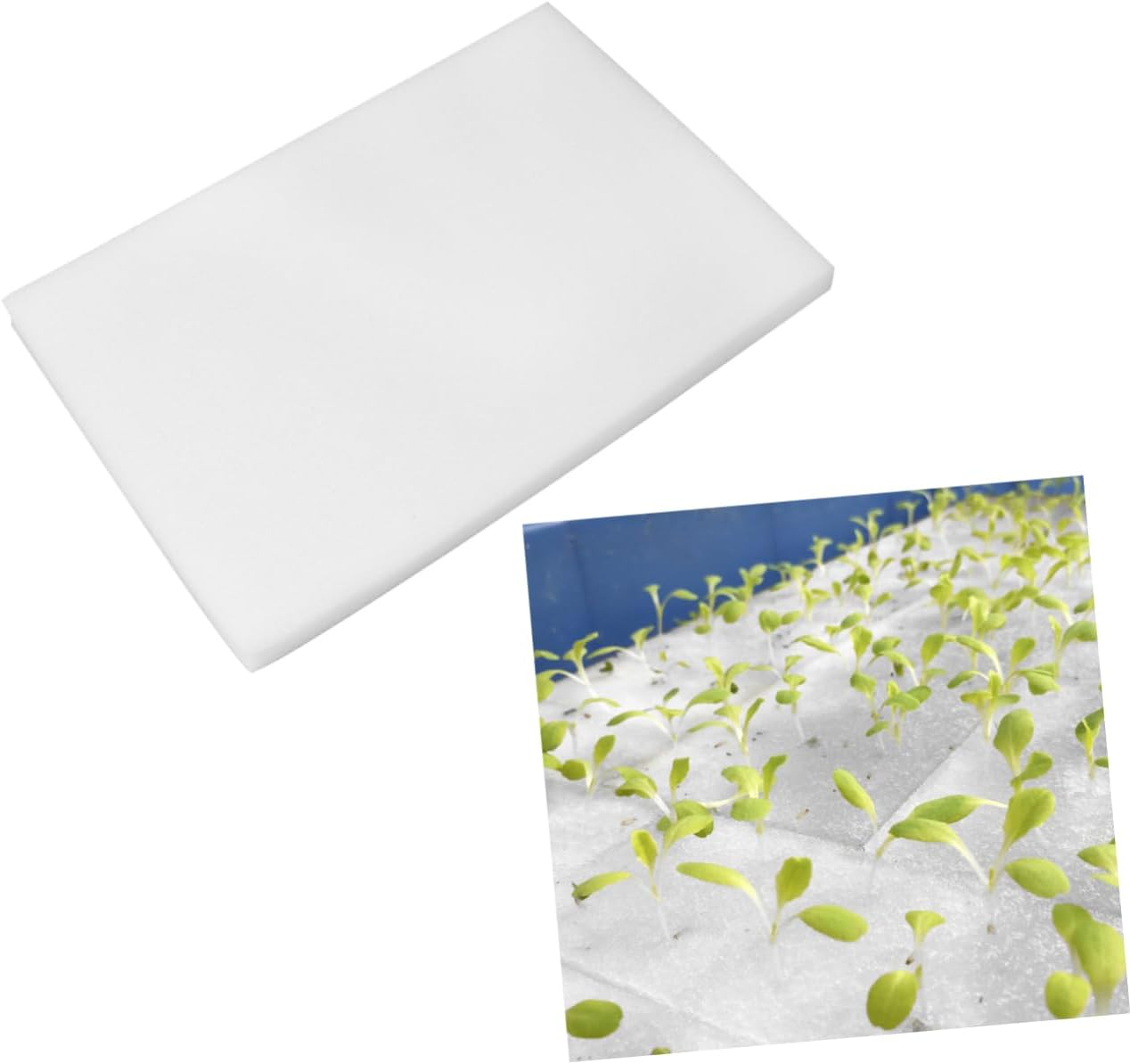 Happyyami 2Pcs Soilless Cultivation Hydroponic Sponges 25Mm Cube Planting Sponge for Seedling Growth Gardening Tools Indoor Hydroponics Water Absorbent image number 5