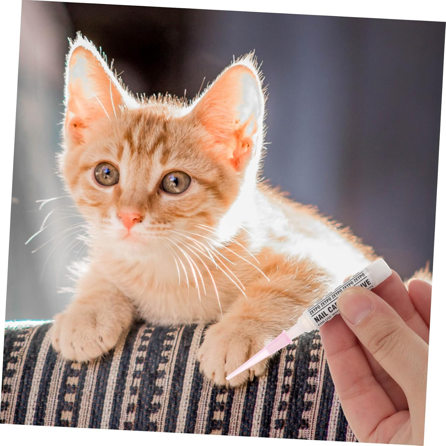 Ipetboom 10Pcs Cat Quick Drying Nail Glue Special Pet Nail Glue Kitten Nail Caps Glue Adhesive Glues for Cat Pet Accessories Pet Adhesive Glue Pointy Soft Claw Nail Set Fingernail image number 5