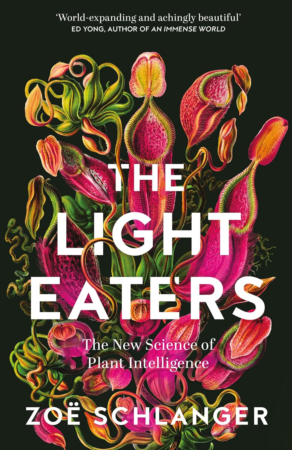 The Light Eaters: How the New Science of Plant Intelligence Expands Our View of Life on Earth