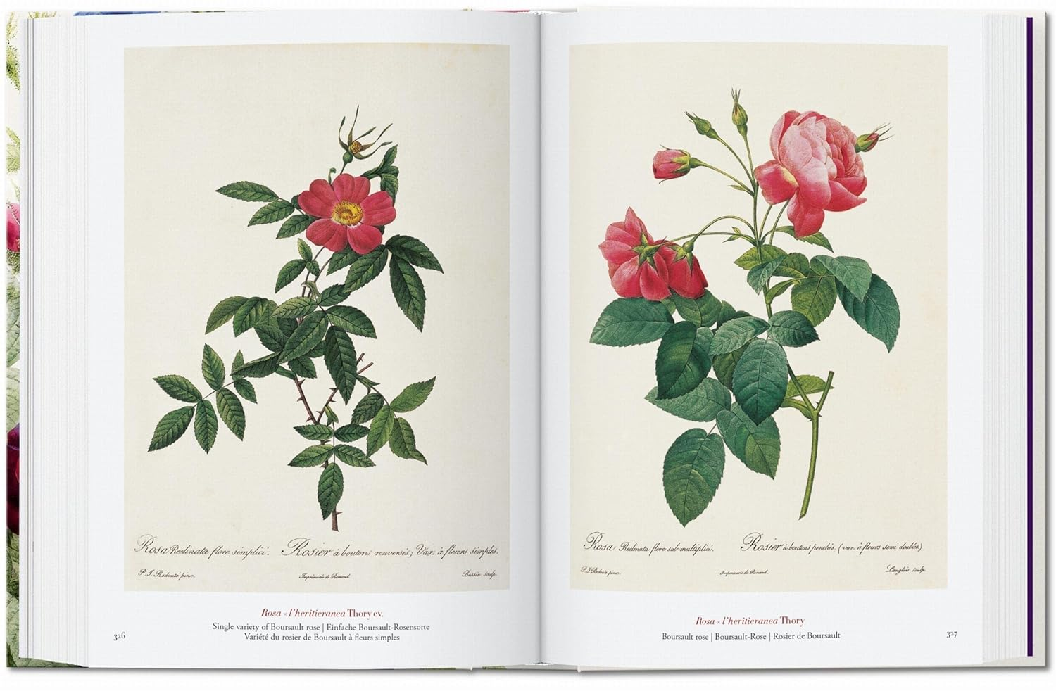 Redout&eacute;. the Book of Flowers. 40Th Ed. image number 3