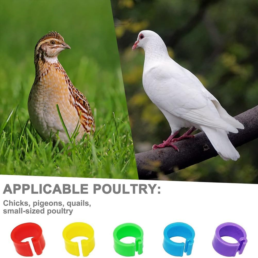 200Pcs 8Mm Coturnix Quail Leg Bands Baby Chick Leg Bands Pigeon Bands Chicken Leg Bands