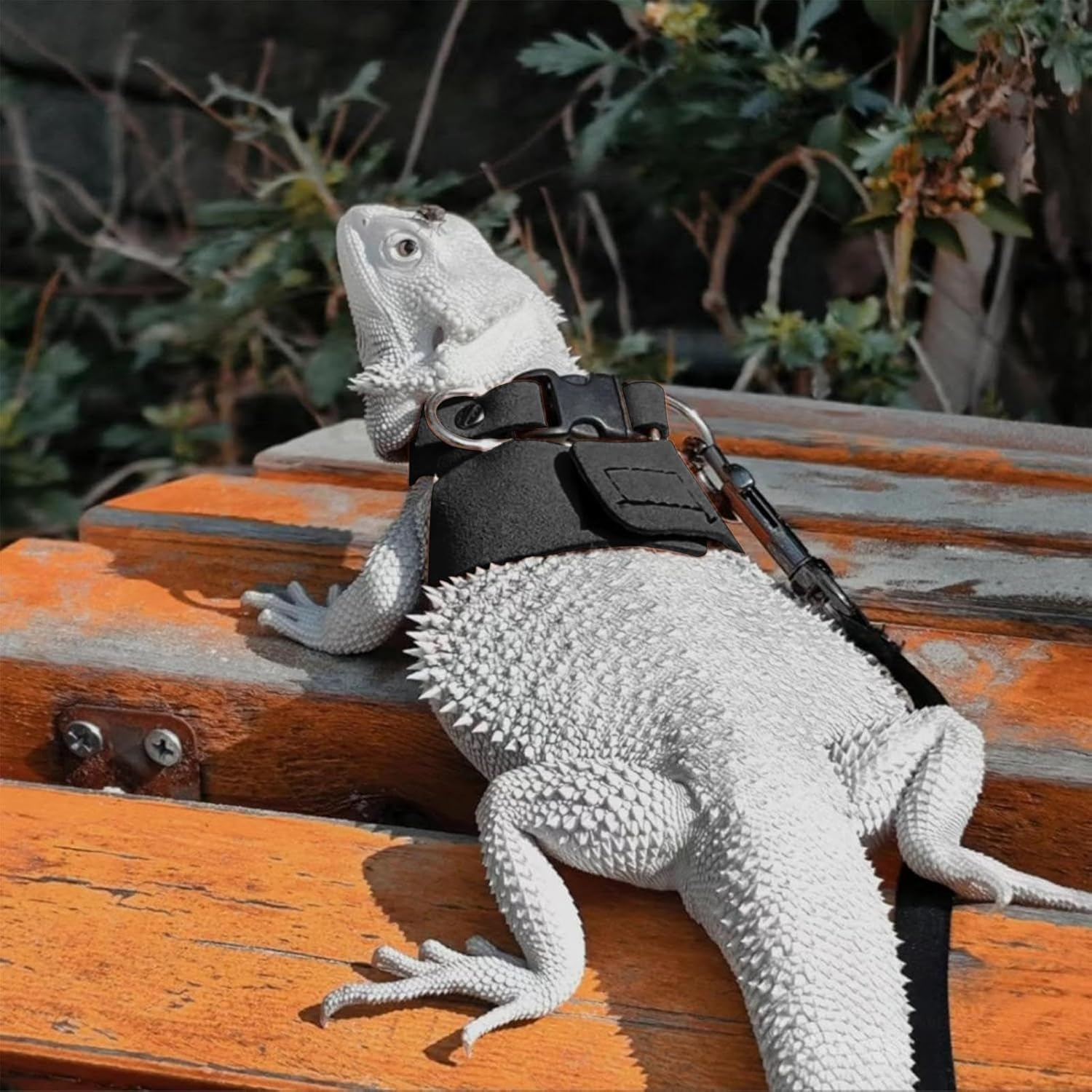 3 Size Lizard Traction Rope,Bearded Dragon Harness and Leash Set,Adjustable Harness Soft Leather Leash Lizard Reptile Traction Rope Walking Vest Accessories for Bearded Dragon,Iguana,Gecko (Black) image number 6