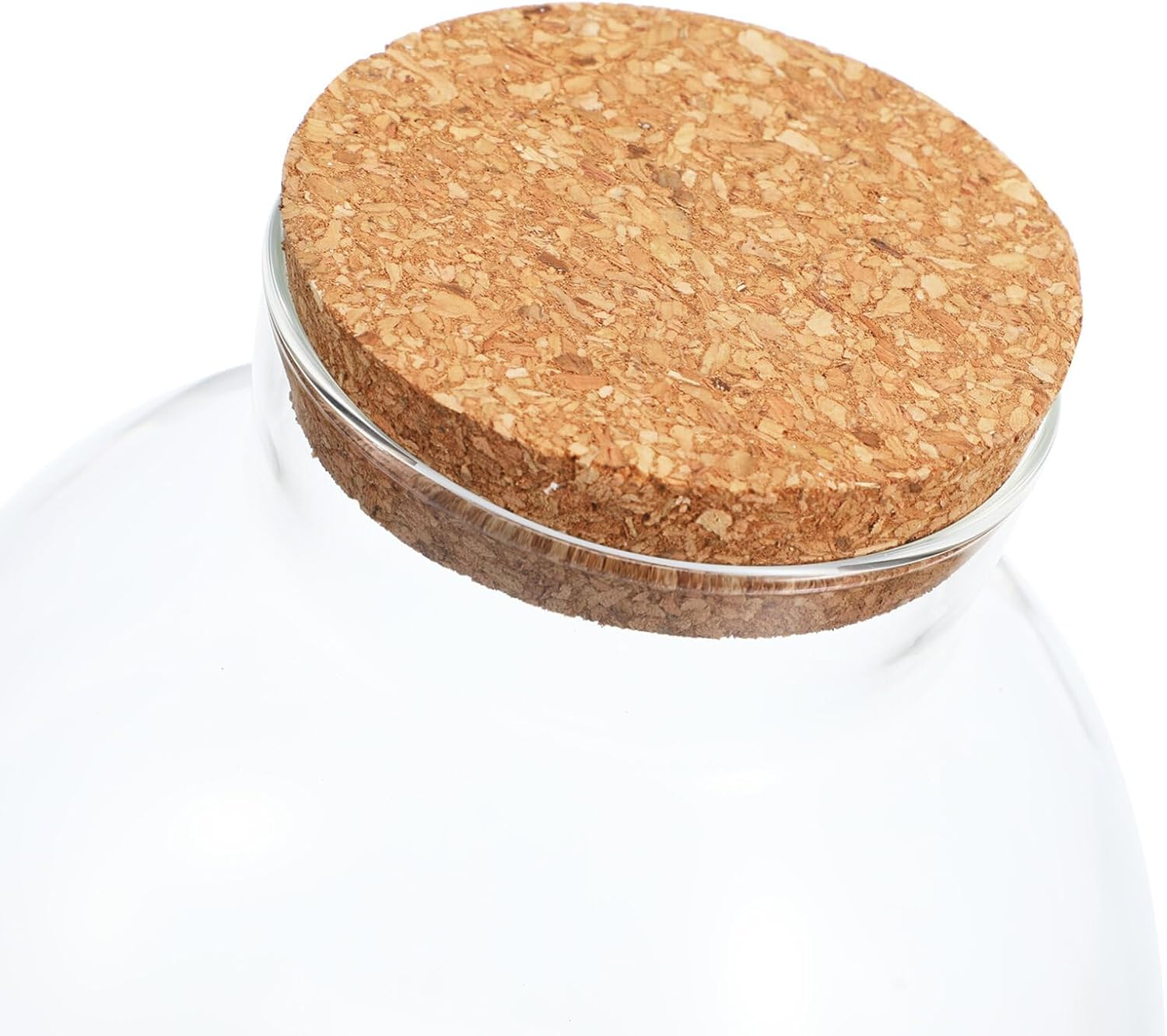 Kisangel Glass Plant Terrarium Jar, Micro Landscape Terrarium with Wood Lid, Tabletop Succulent Planter DIY Planterdecor for Craft image number 1