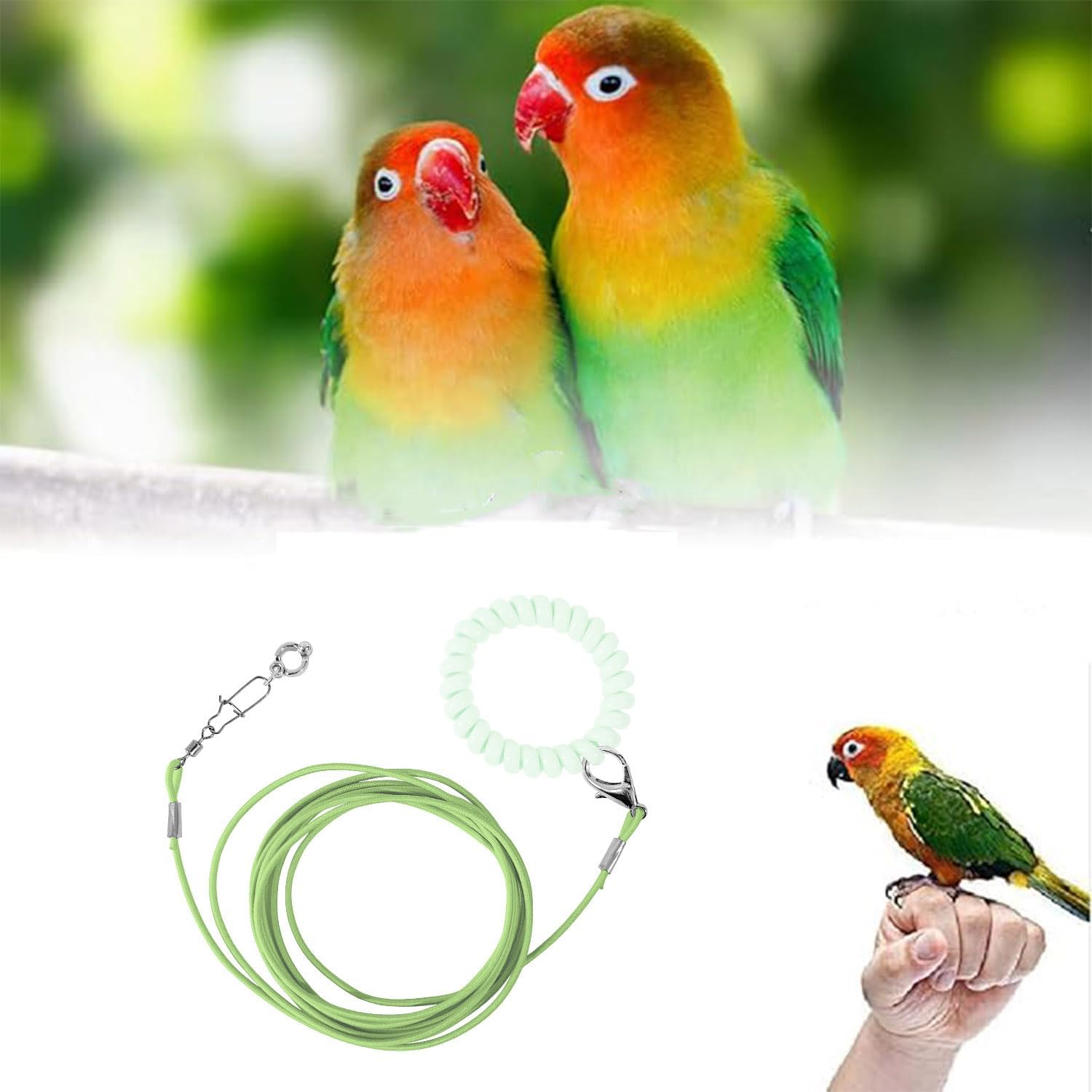 Bird Foot Chain - Adjustable Harness and Biting-Resistant Training Toy with Ankle Ring - Pet Outdoor Flying Rope for Terrace (Green) image number 4