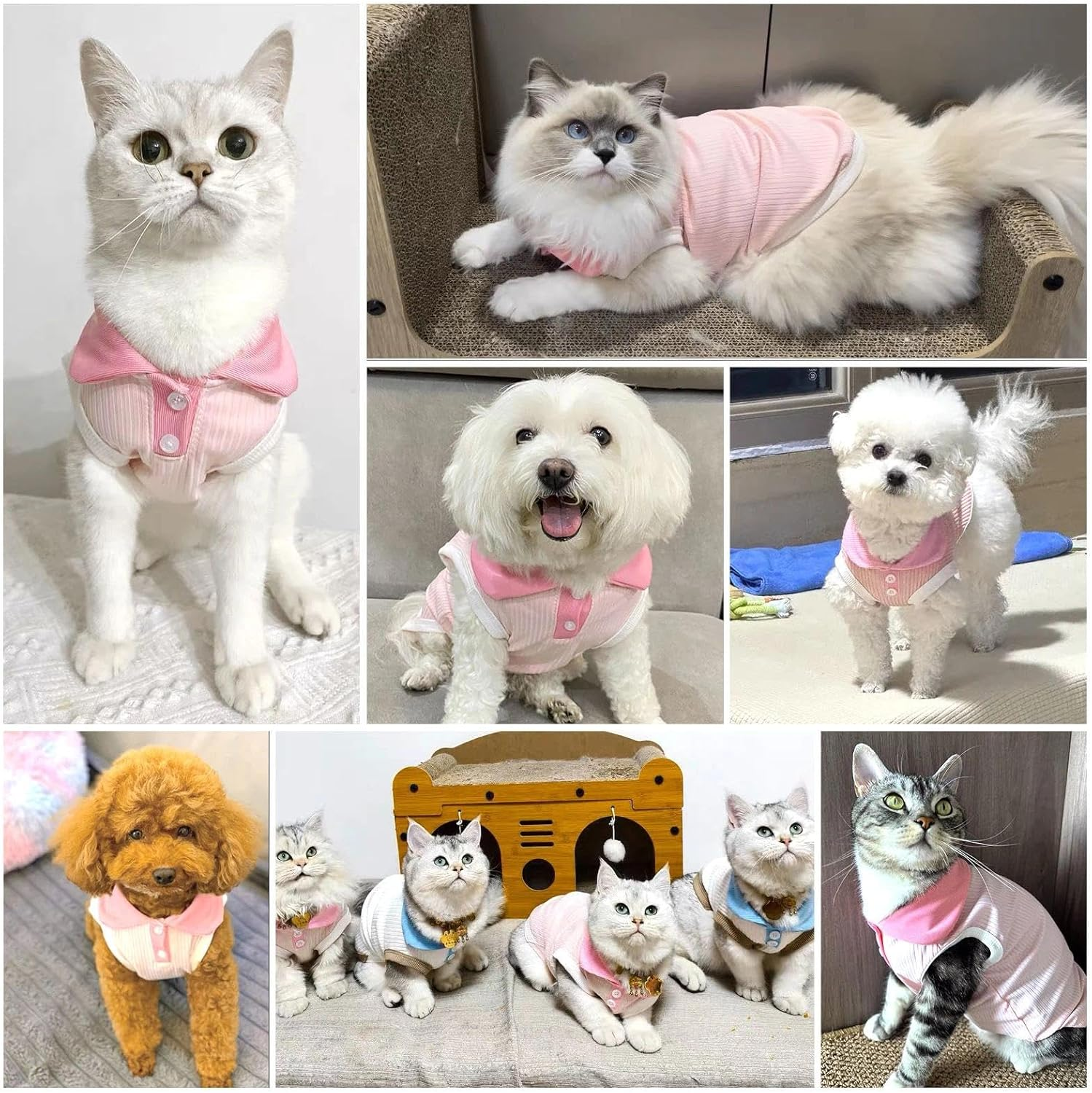 AXIIJGL Dog Tshirts for Small Dogs Polo Shirt Stretchy Dog T Shirt Breathable Dogs Cooling Vest Sweatshirts Girl Boy Puppy Dachshund French Bulldog Frenchie Chihuahua Pet Clothes image number 3