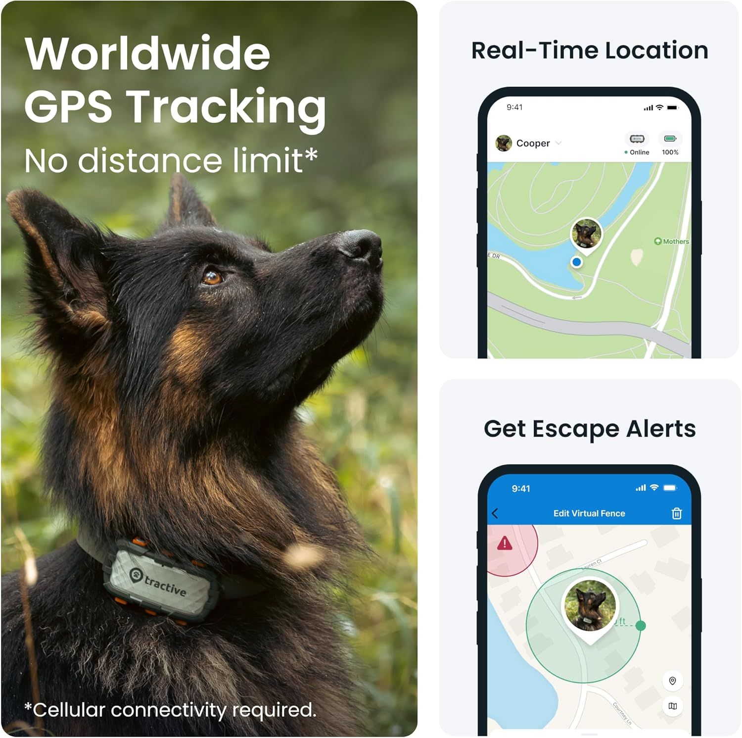 Tractive Smart Dog Tracker XL Adventure | 1 Month Battery | Real-Time GPS Tracking | Escape & Health Alerts | Vitals Monitoring | Market Leader image number 2