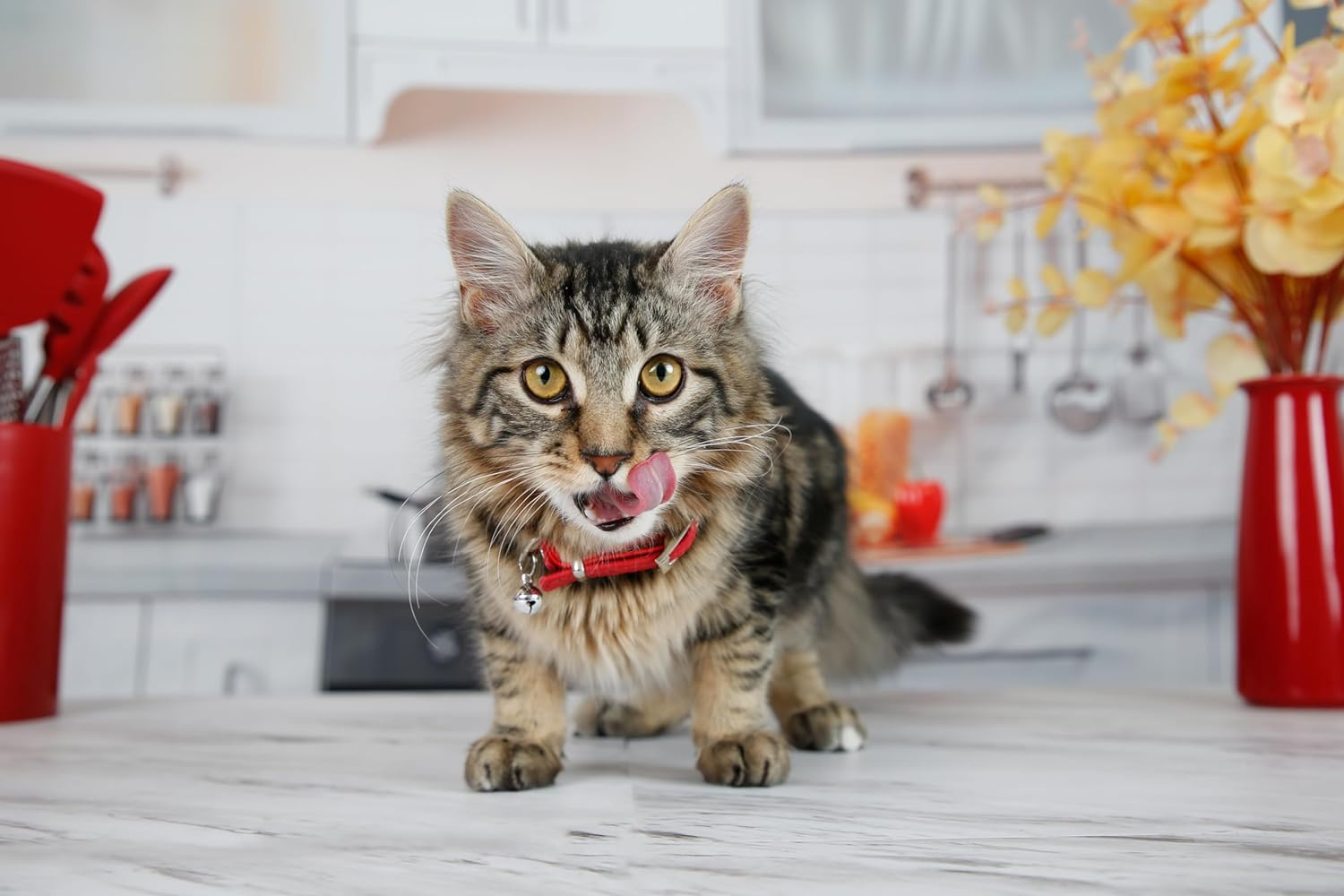 Hartz Hairball Remedy plus Paste 70G image number 1