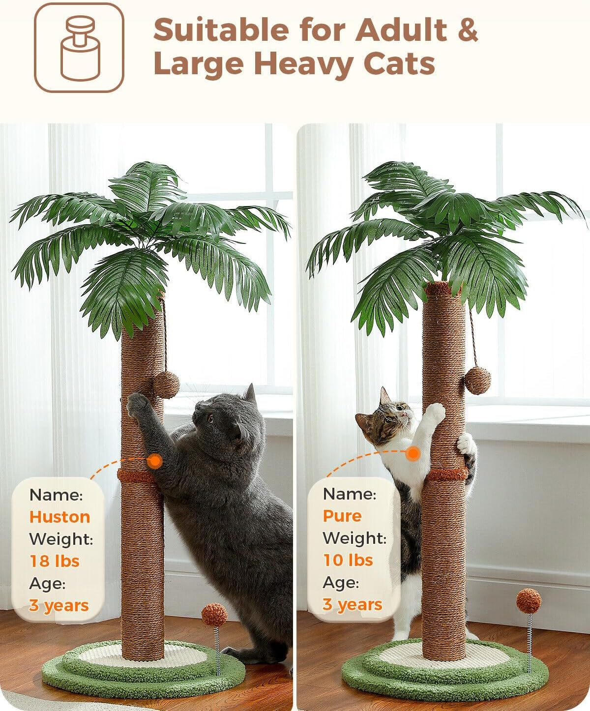 PAWZ Road Coconut Palm Cat Scratching Post 85Cm Cat Scratcher for Indoor Cats with Interactive Balls & 100% Sisal Covered Scratch Posts Brown image number 6